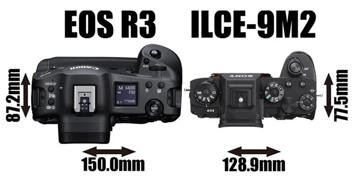 Sony A9 II vs Canon EOS-R3-2.jpg