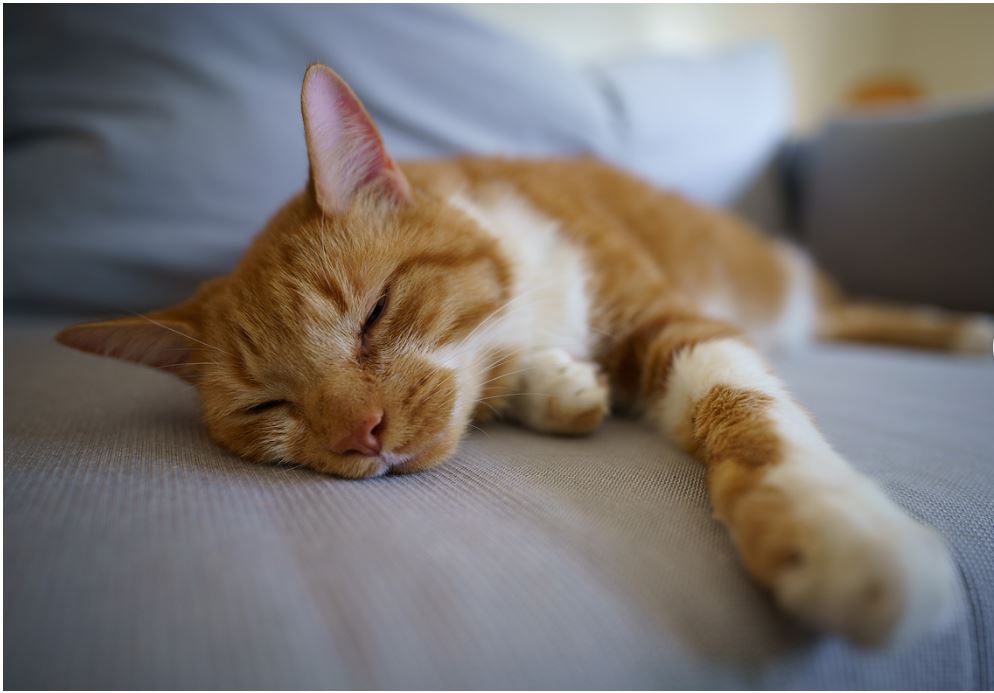Sony FE20mm f1.8 ile çekilmiş fotoğraflar.JPG